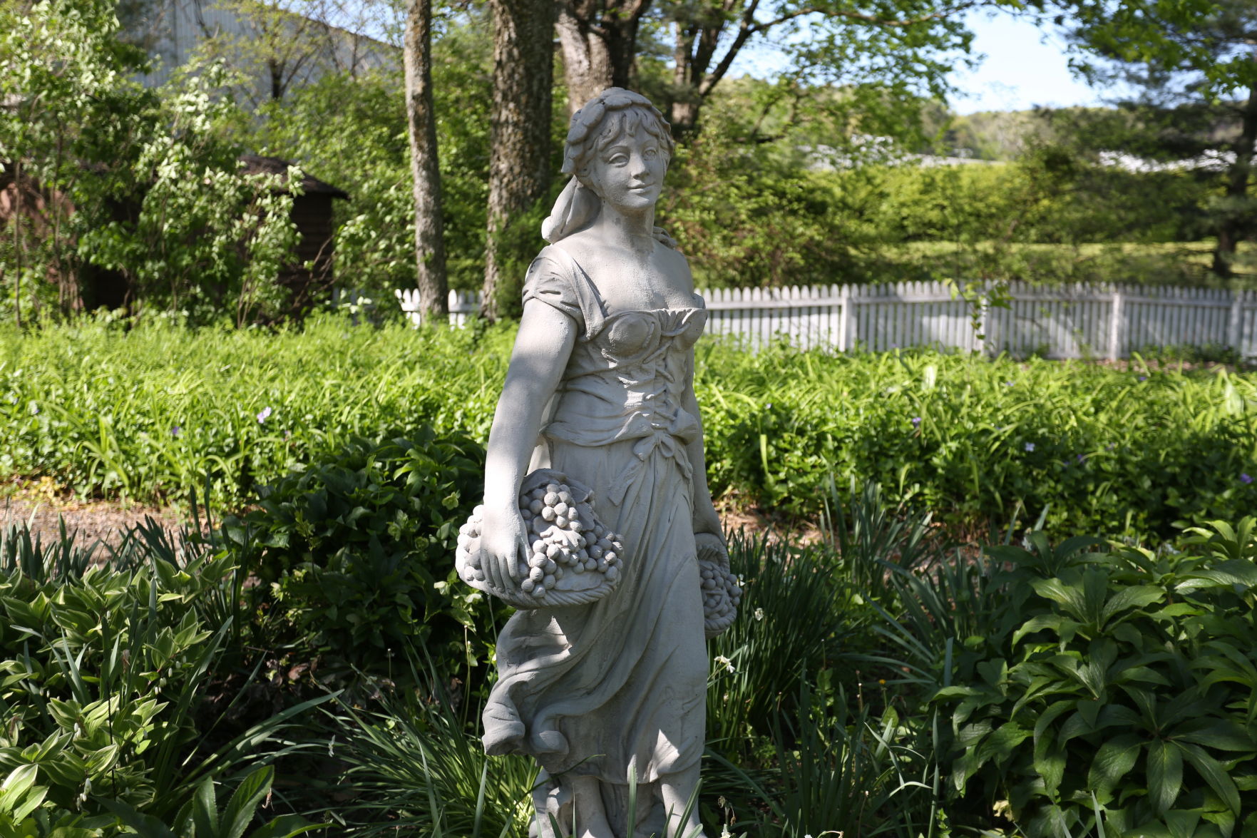 202005xx_lyn_news_avoca50.JPG